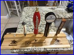 Beer tap handle lot with custom designed shelf