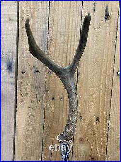 Deer Antlers Beer Keg Tap Handle Pair 2 Antler Set Hunting Rifle Bow