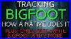 Native Bigfoot Tracker Shares What He Does Plus Bigfoot Event Weekend Goes Wrong And Two More