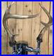 Real Deer Antlers Beer Tap Handle Pair Of 2 Antler 10 11 Inch Hunting Hunter