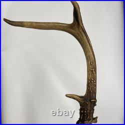 Real Deer Antlers Beer Tap Handle Pair Of 2 Antler 10 11 Inch Hunting Hunter