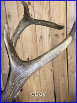 Real Deer Antlers Beer Tap Handle Pair Of 2 Antler 10 11 Inch Hunting Hunter