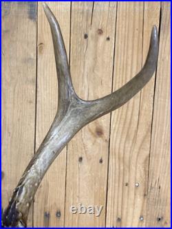 Real Deer Antlers Beer Tap Handle Pair Of 2 Antler 10 11 Inch Hunting Hunter