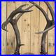 Real Deer Antlers Beer Tap Handle Pair Of 2 Antler 9 Points Hunting Jackalope