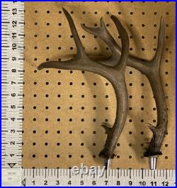Real Deer Antlers Beer Tap Handle Pair Of 2 Antler 9 Points Hunting Jackalope