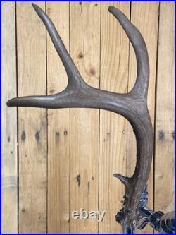 Real Deer Antlers Beer Tap Handle Pair Of 2 Antler 9 Points Hunting Jackalope