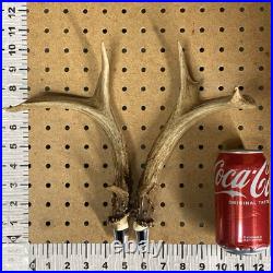 Real Deer Antlers Beer Tap Handle Pair Of 2 Antler Hunting Hunter 10 Inch