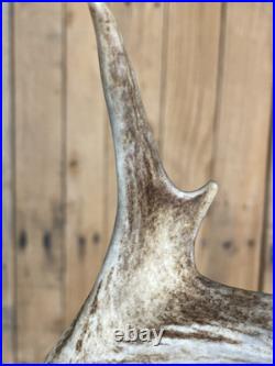 Real Deer Antlers Beer Tap Handle Pair Of 2 Antler Hunting Hunter 10 Inch