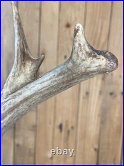 Real Deer Antlers Beer Tap Handle Pair Of 2 Antler Hunting Hunter 10 Inch