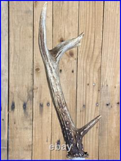 Real Deer Antlers Beer Tap Handle Pair Of 2 Antler Hunting Hunter 10 Inch