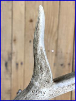 Real Deer Antlers Beer Tap Handle Pair Of 2 Antler Hunting Hunter 10 Inch